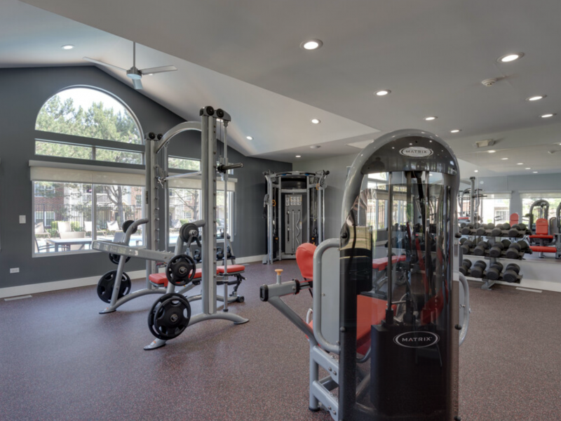 This picture is showing the TGM Danada Apartments fitness gym with free weights and various pieces of gym equipment available.