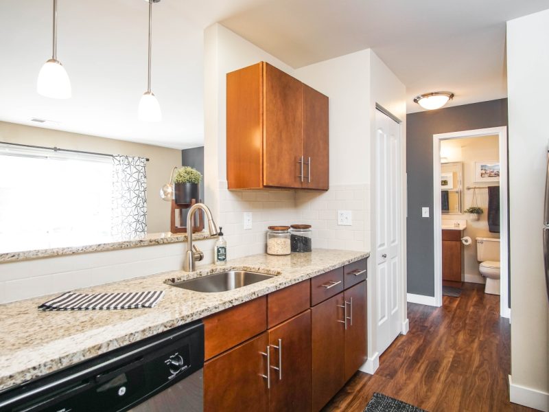 This image shows the Premium Apartment Feature, especially the kitchen island showcasing a granite-inspired countertop, a neat design, and an accessible area through the bathroom.
